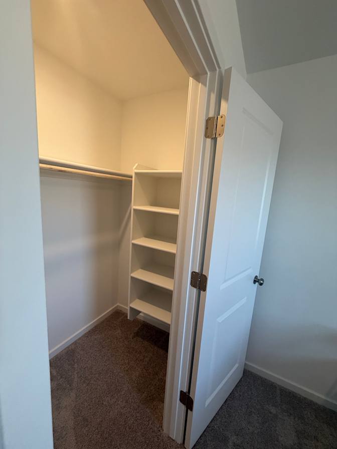 Dominic's room