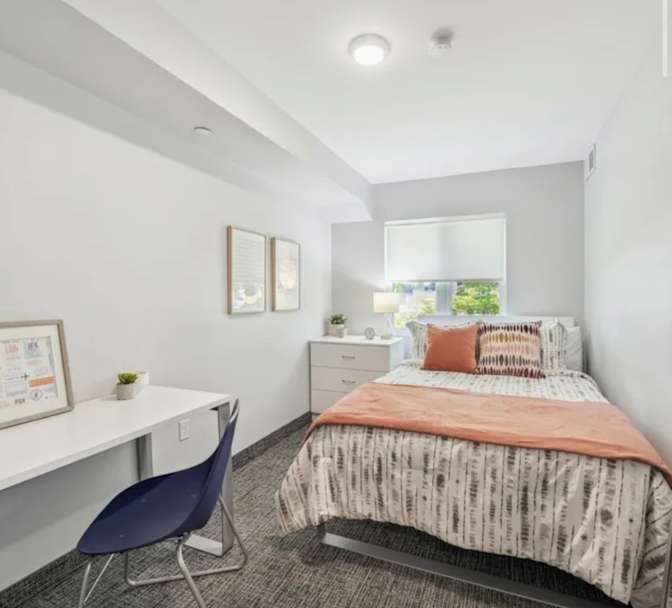 Serour's room