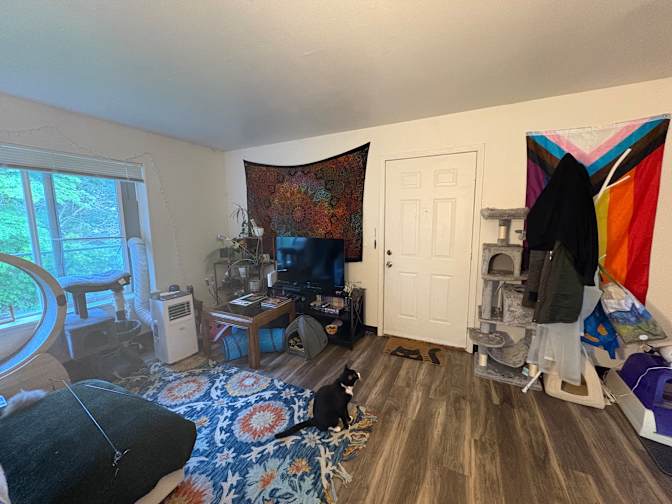 Toben's room
