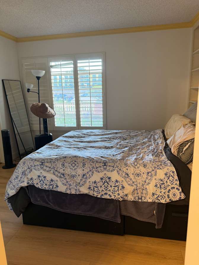 Sina's room