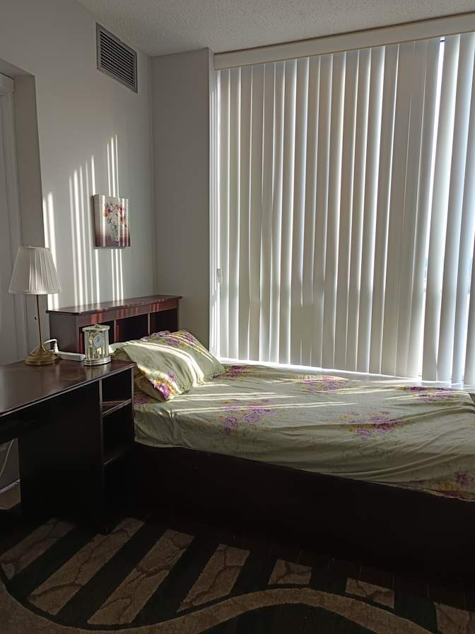 Dr. Hoda Hassan's room