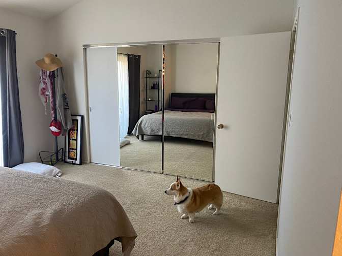 Ezra's room