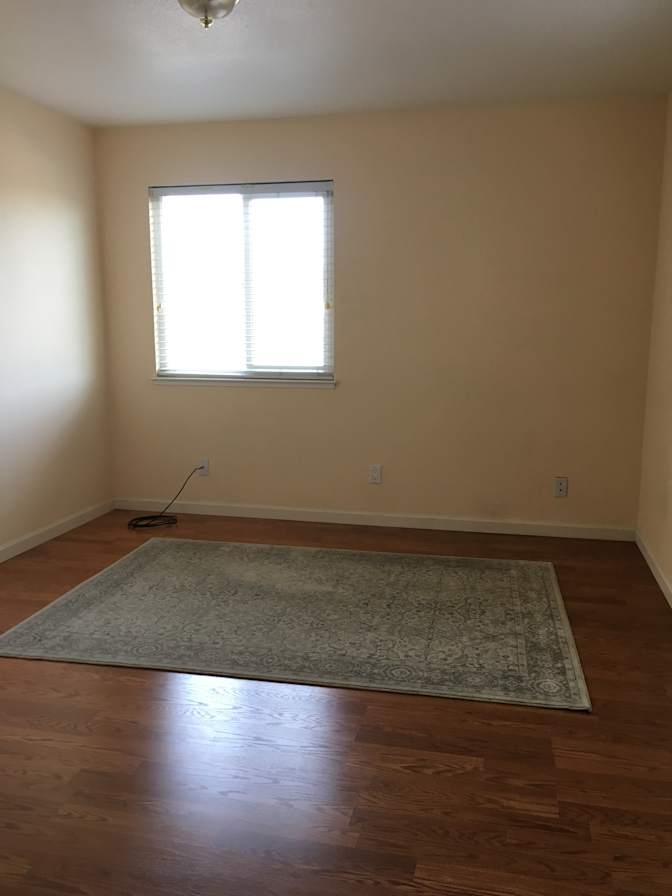 Amy's room