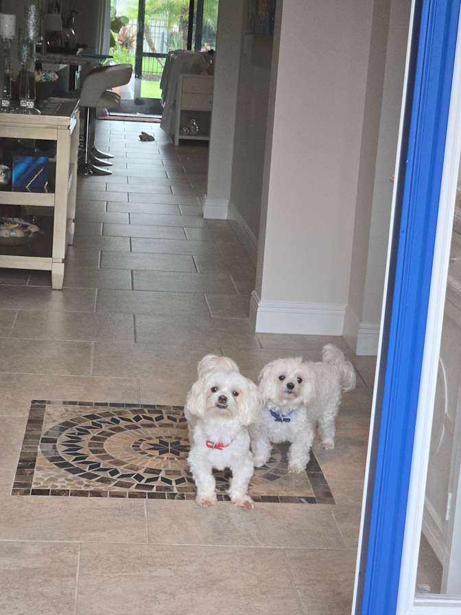 Janet's room