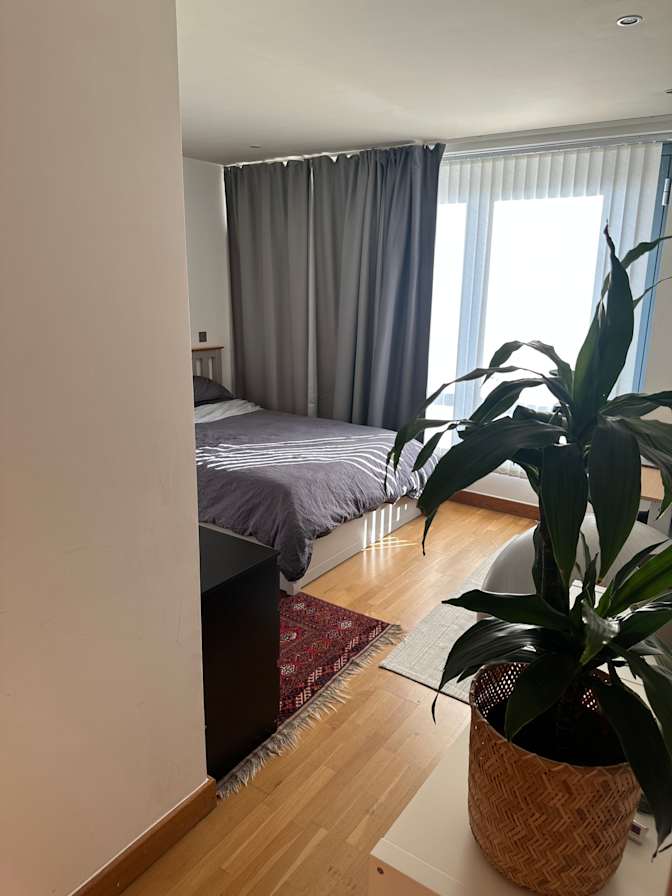 Jan's room