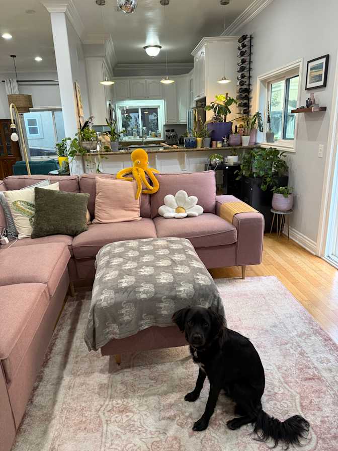 Chelsea's room