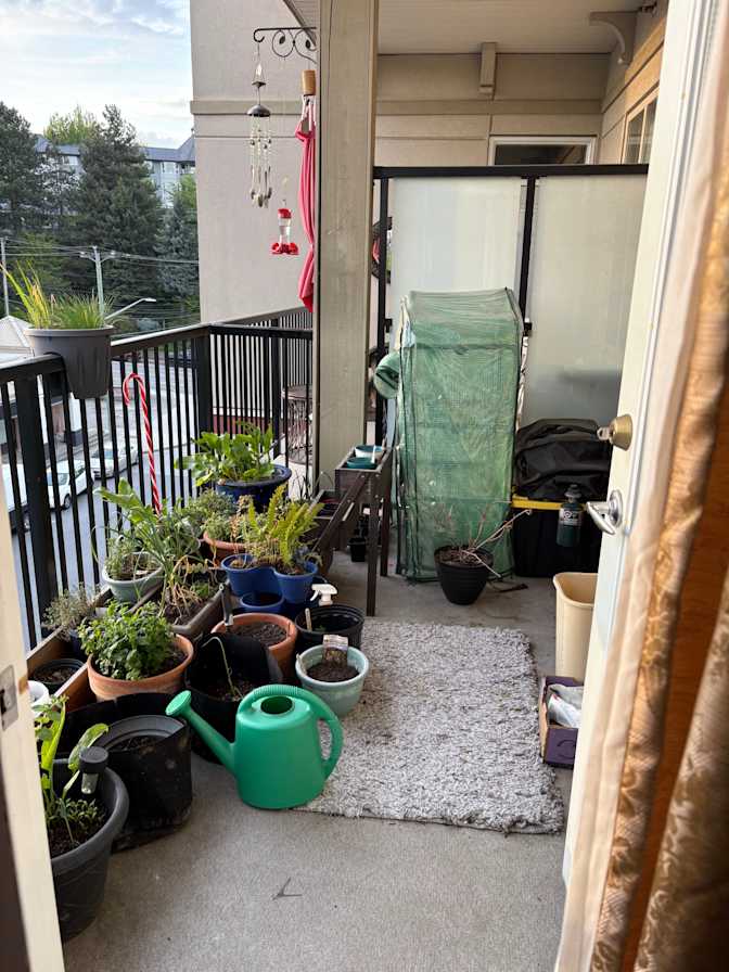 Sandra law's room