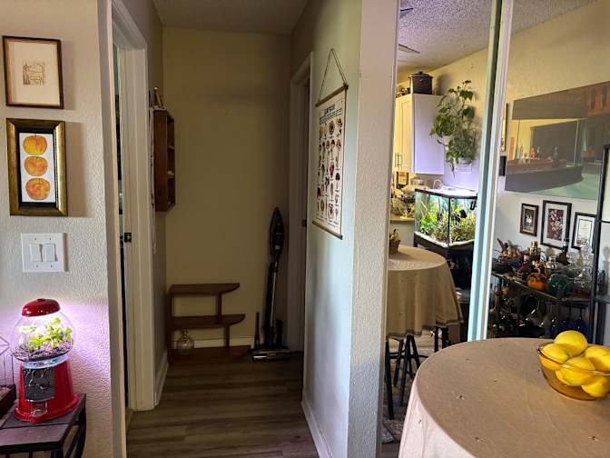 Emma's room
