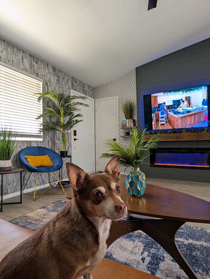 Andrew's room