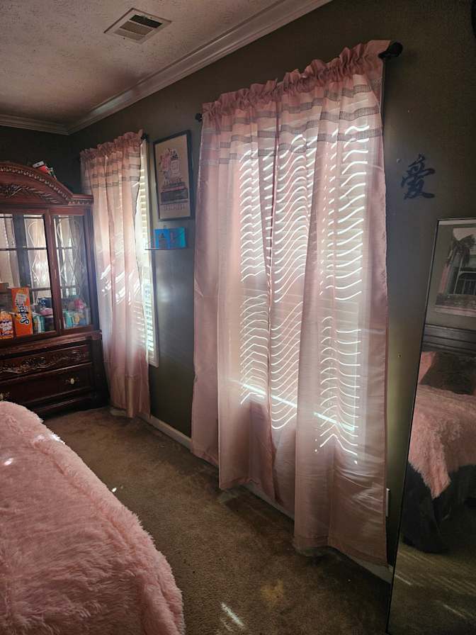 Latoya domeanell profit's room