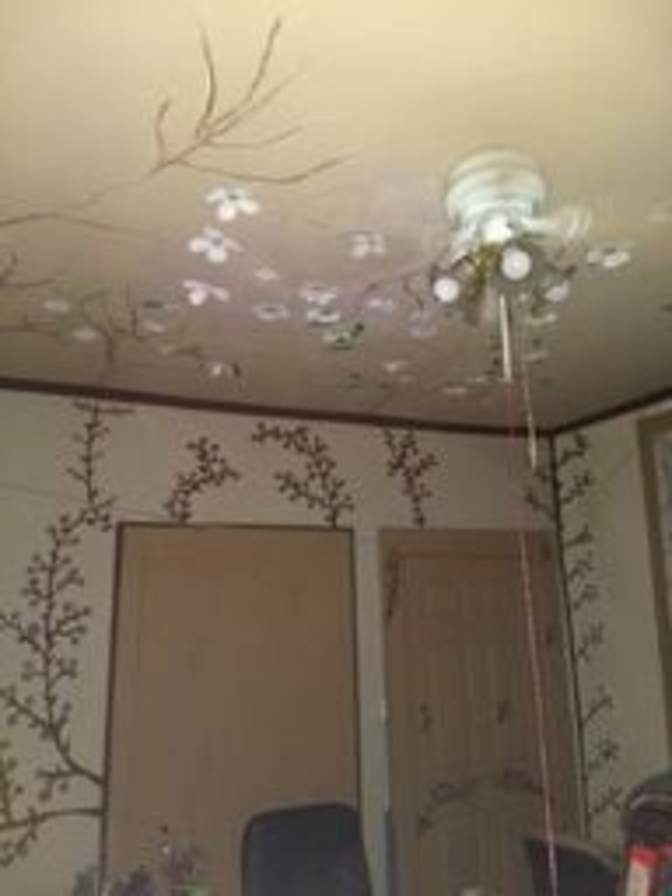 Joel Patrick Bush's room
