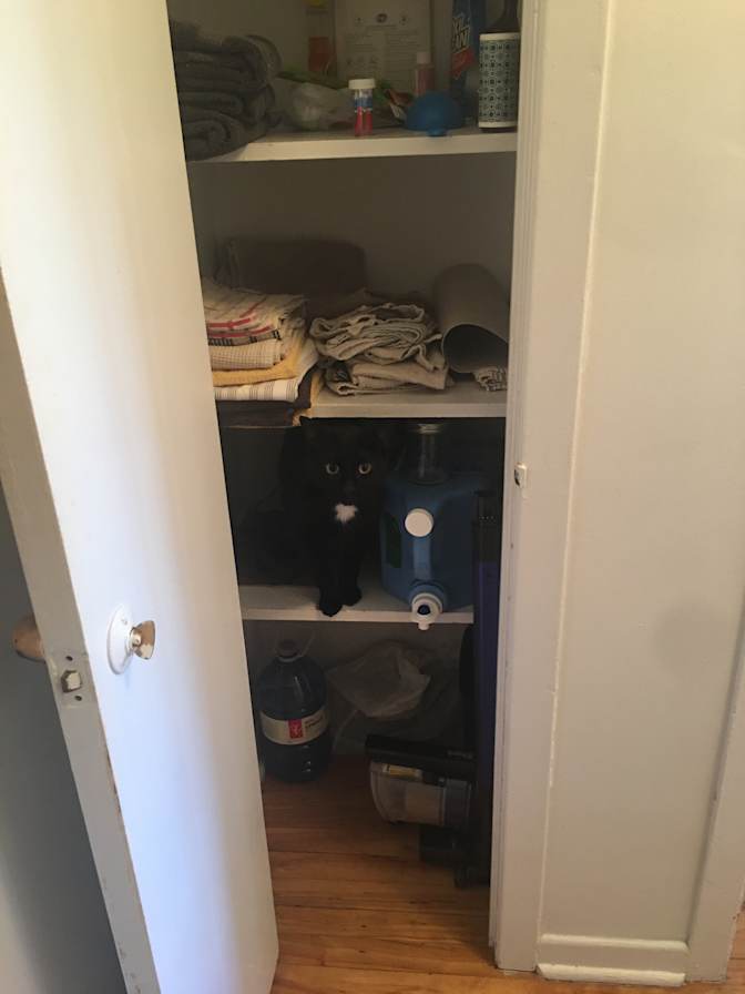 Samuel's room