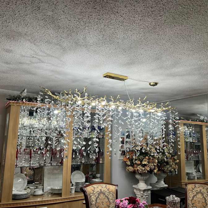 Mary's room