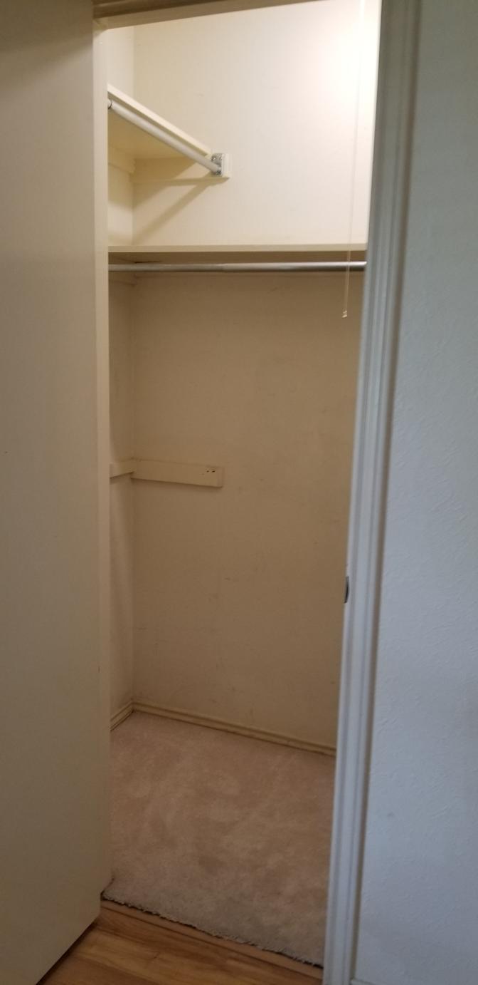 Vajihe's room