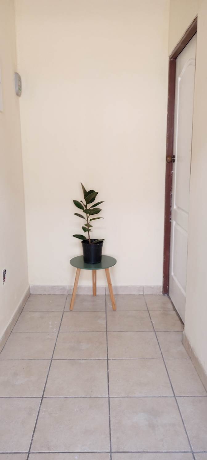 NEMULALO SOLOMON's room