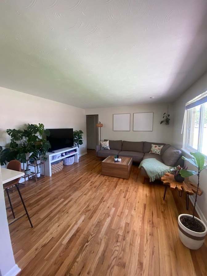 Danielle's room