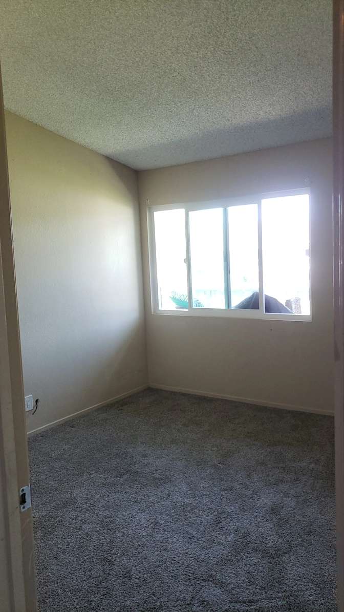 Shayna's room