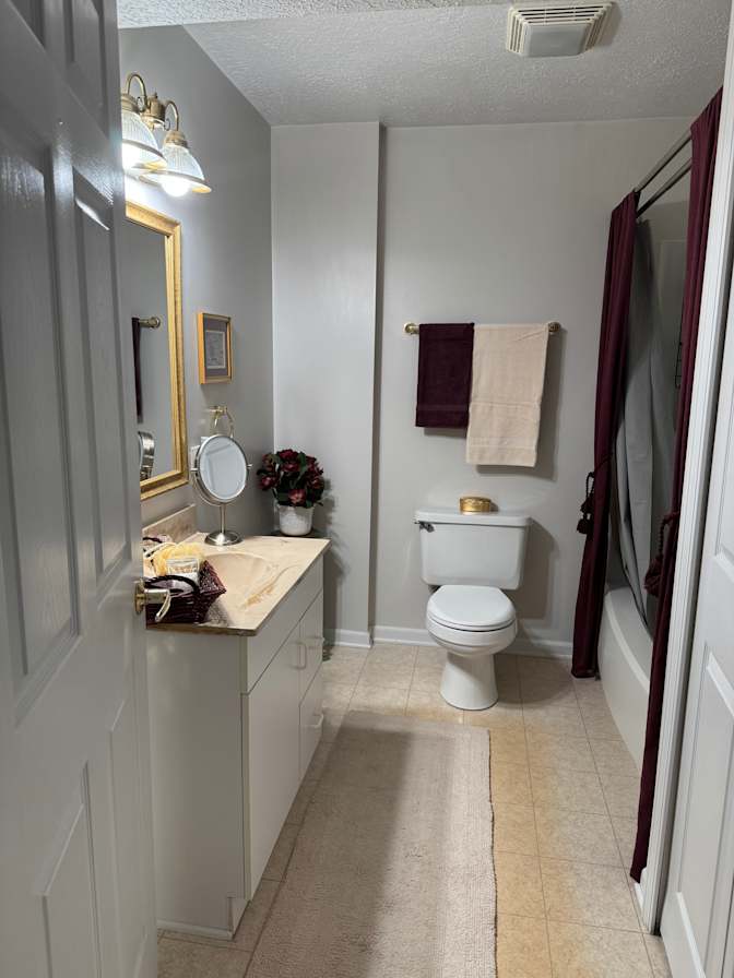WFH professional's room
