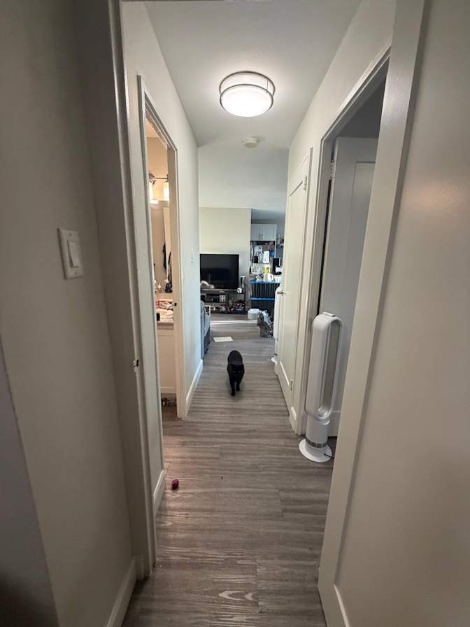 Tristan Dakin's room