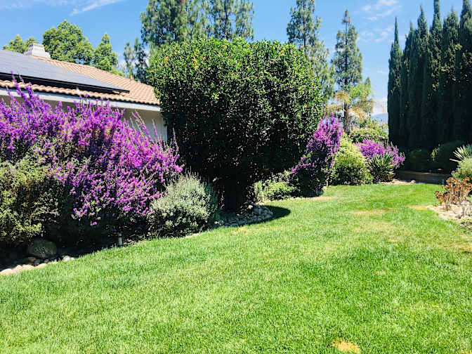 Robert's room