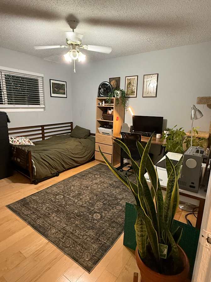 Jovani's room