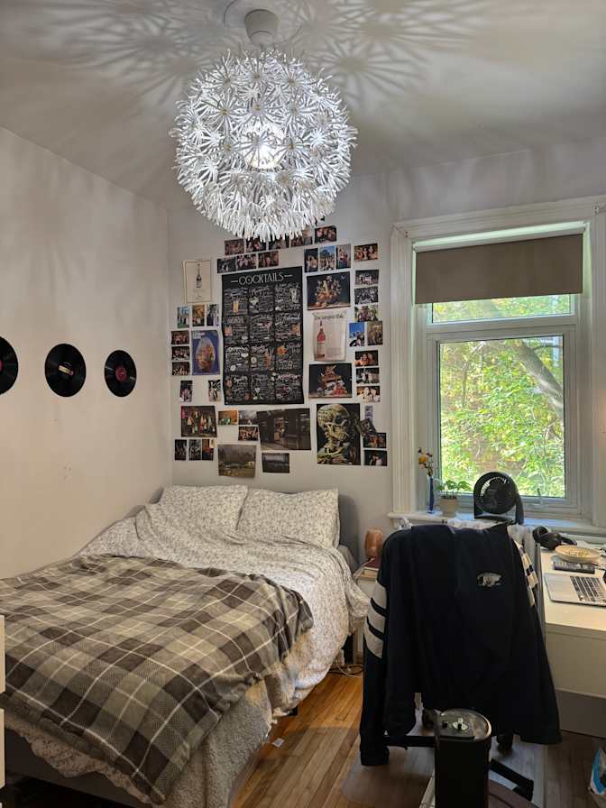 Sophie Liang's room