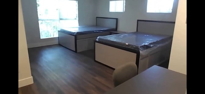 Sofia's room