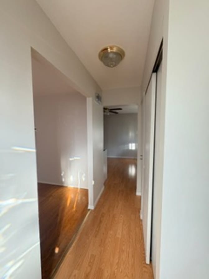 Dan Attisano's room