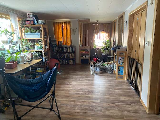Laura's room