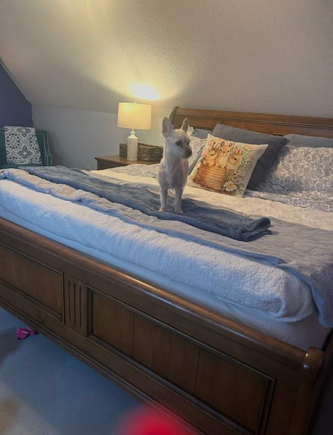 Ginger Winn's room