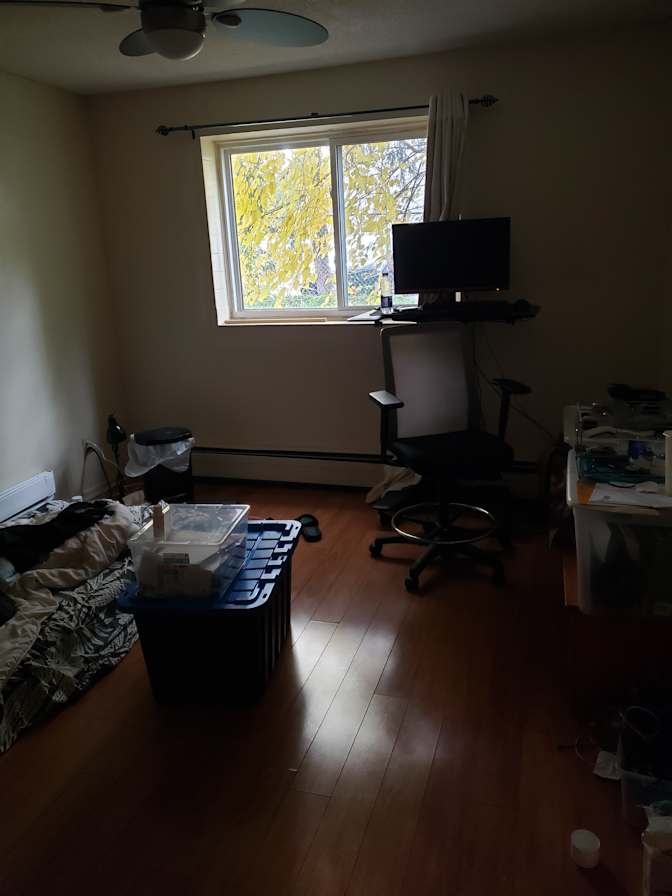 Amy's room
