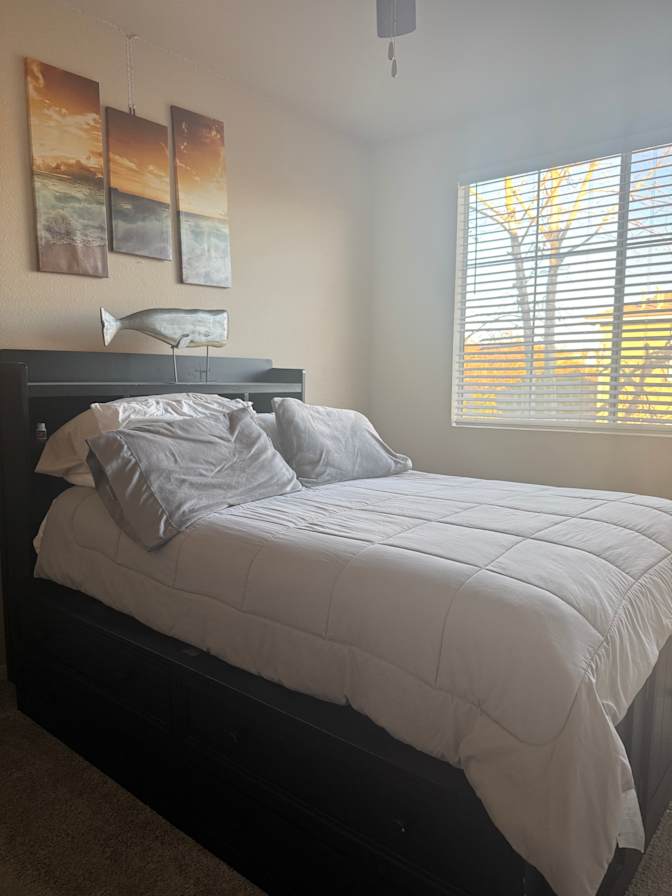 Jaqueline's room