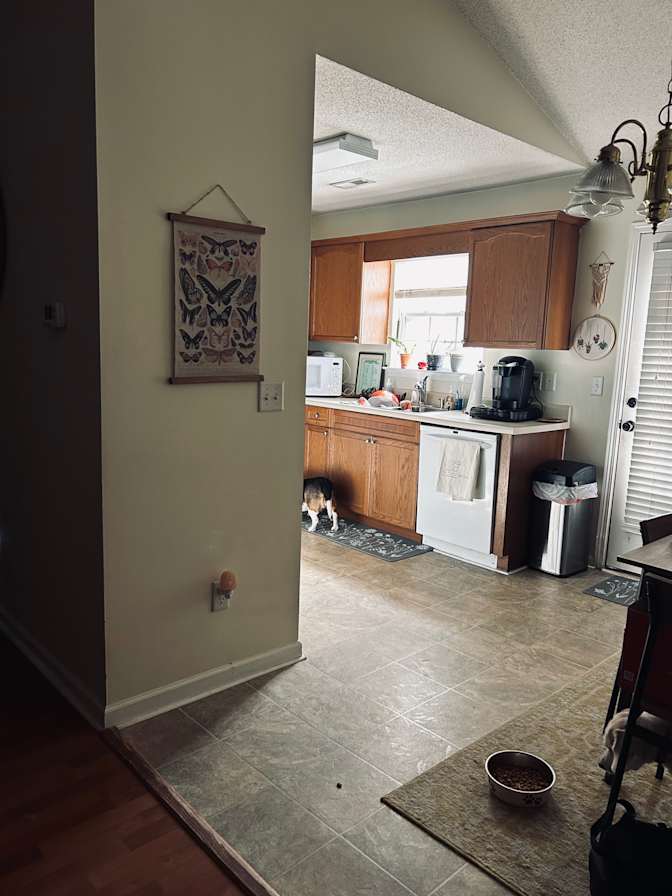 Mary's room
