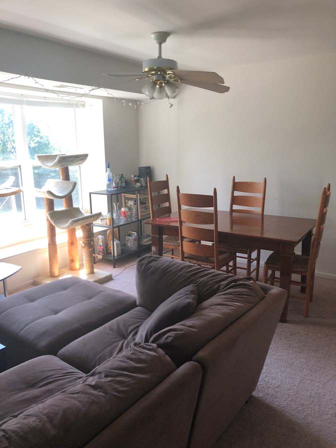 Lauren's room
