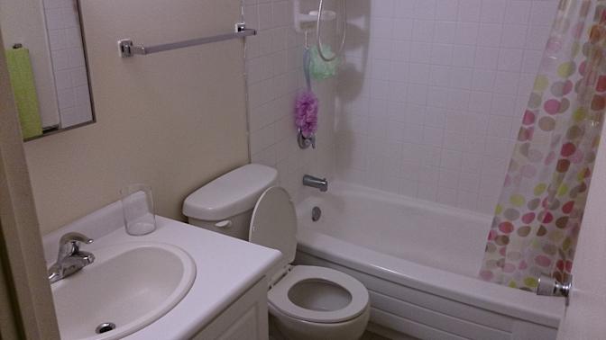 Bathurst-King Wellinton Place West Queen West Fort York Liberty Village's room