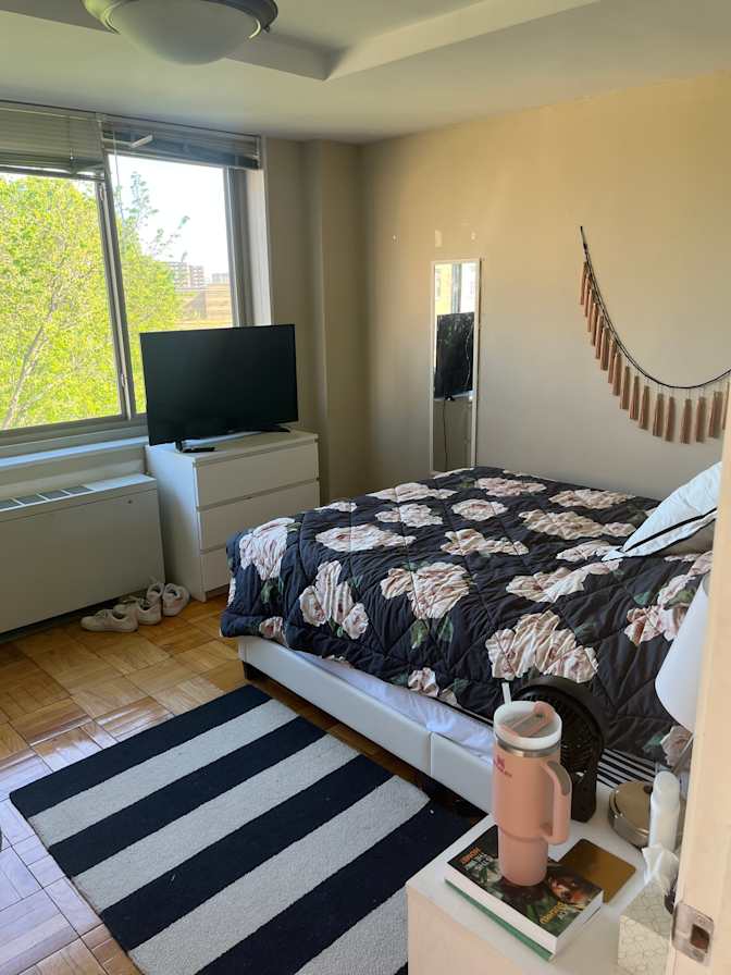 Gracie's room