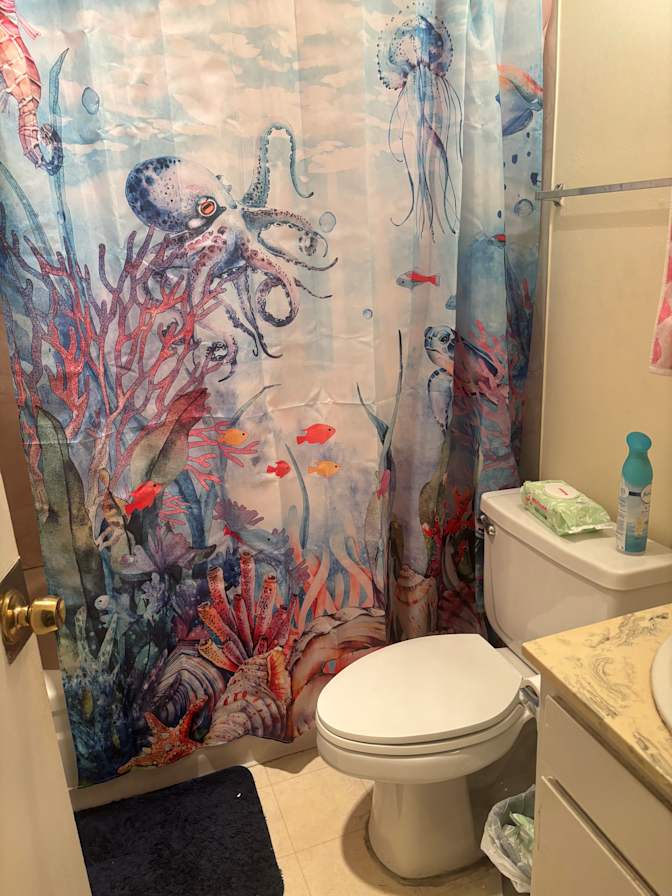 Abi's room