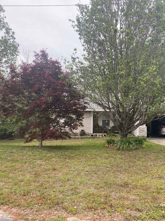 Ray's room