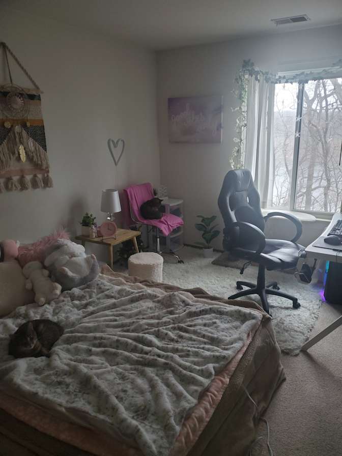 Cassie's room