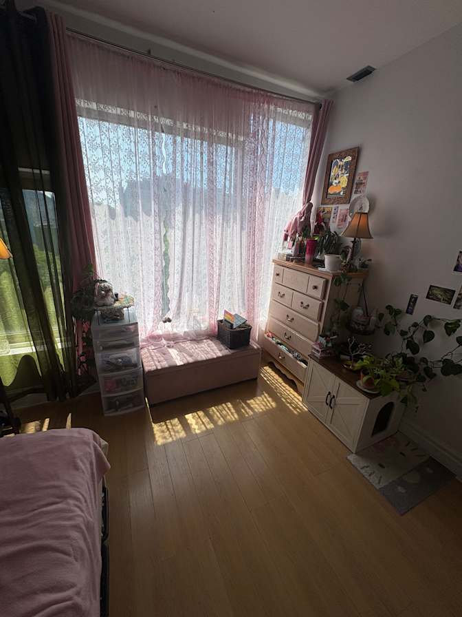 rashin's room