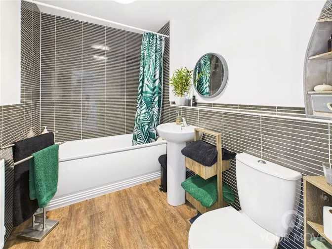 Shal's room