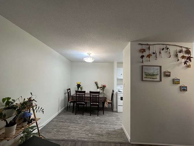 Sedi's room