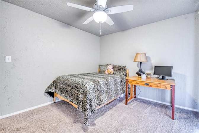 Alon's room