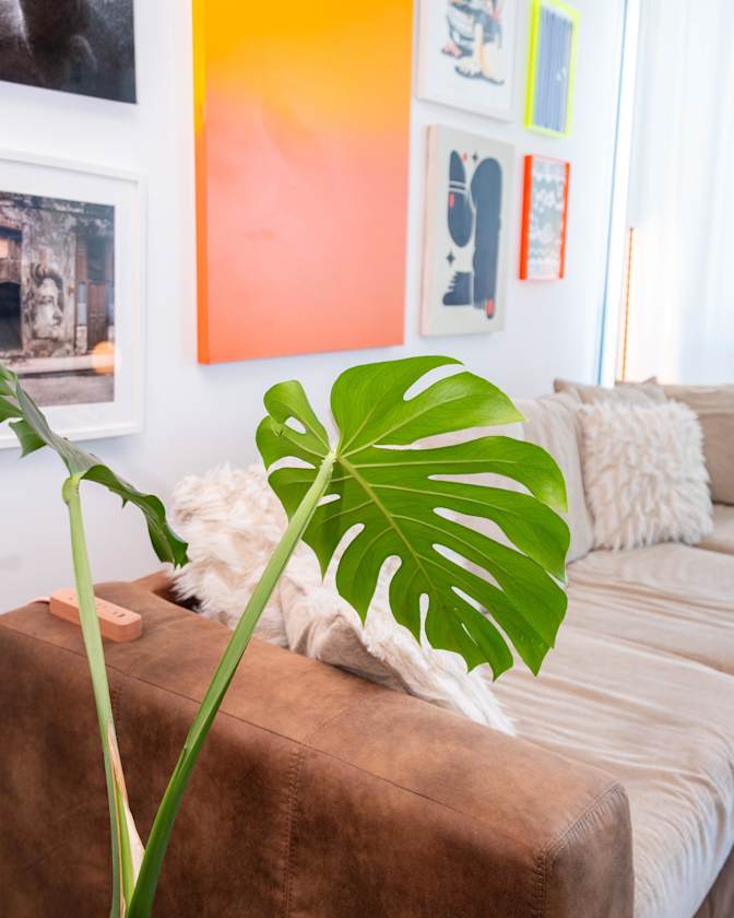 Luz Arrieta's room
