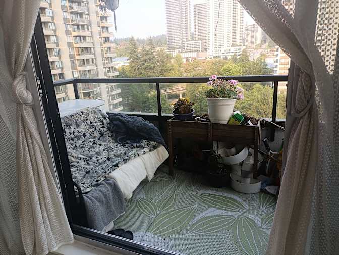 Yegor's room
