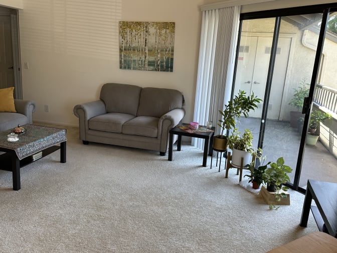 Mohammadreza's room