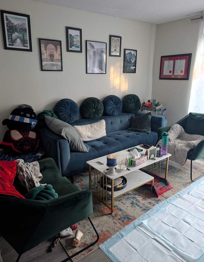 Shaz's room