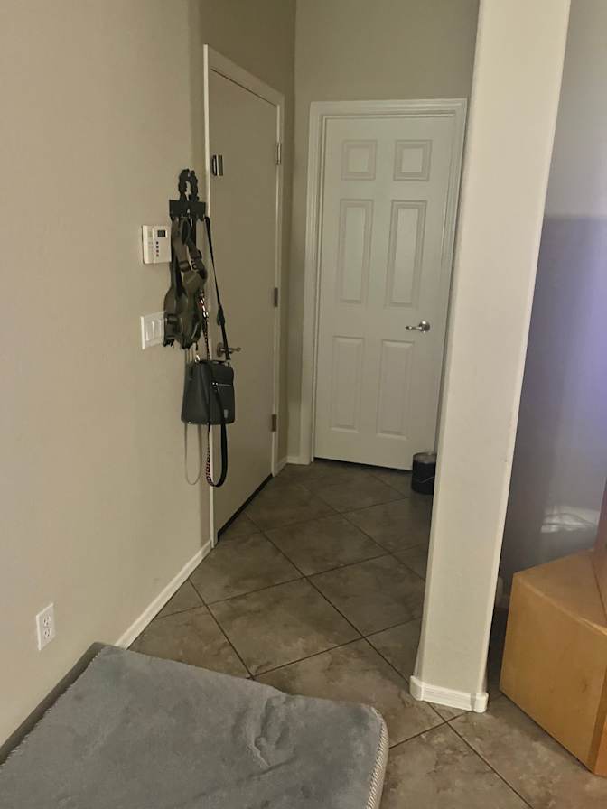 Rachelle's room