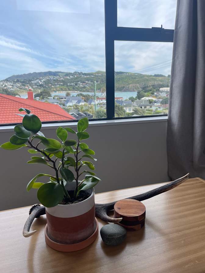 Rachel Thwaite's room