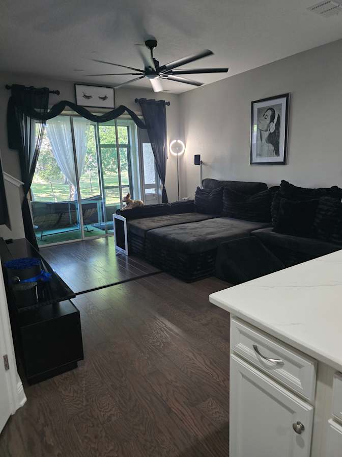 Zarabella's room